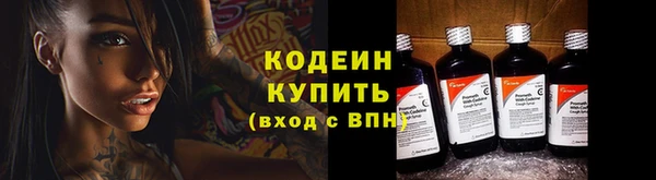 дмт Заводоуковск