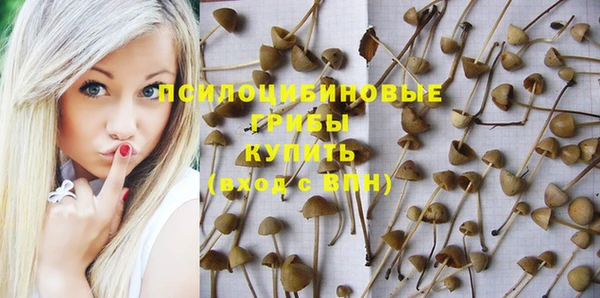 не бодяженный Аша