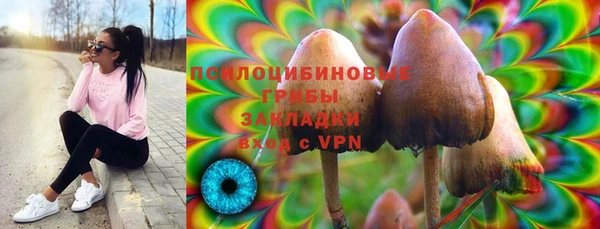 ешки Анжеро-Судженск