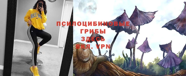 круглые Алапаевск