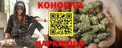 Альфа ПВП Волгодонск