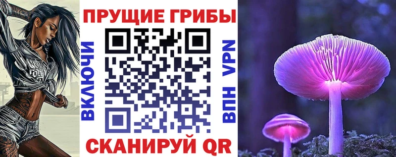 где купить наркоту Камень-на-Оби Галлюциногенные грибы Cubensis