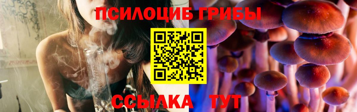 Галлюциногенные грибы ЛСД  Псилоцибиновые грибы прущие грибы  Вход с VPN  Камень-на-Оби 