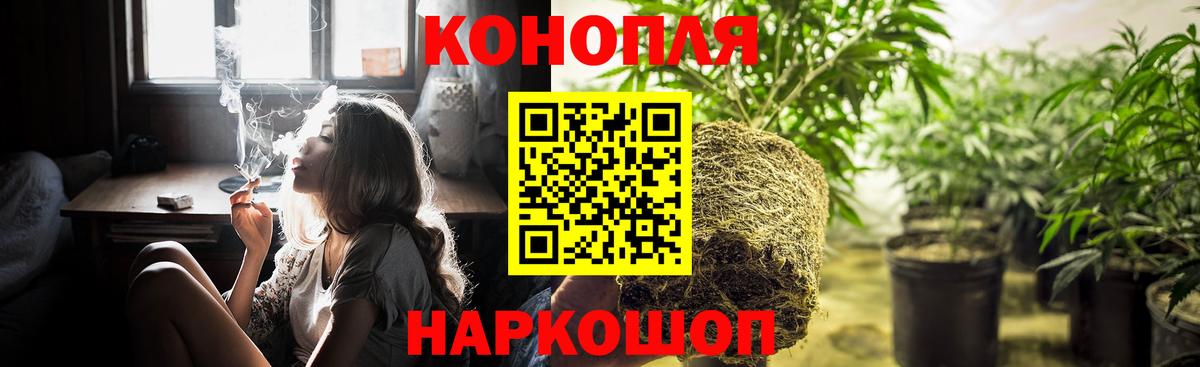 Бошки Шишки план Камень-на-Оби